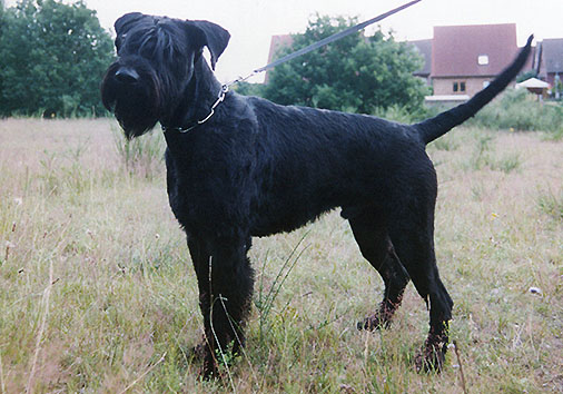 Hunter v. Nordexpress, 3 Jahre 2 Monate