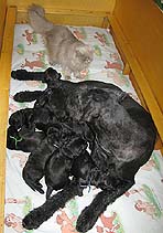 8 Monate alt