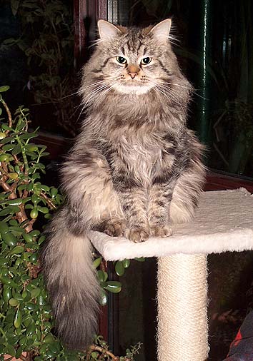 Kasimir, 1 1/2 Jahre alt