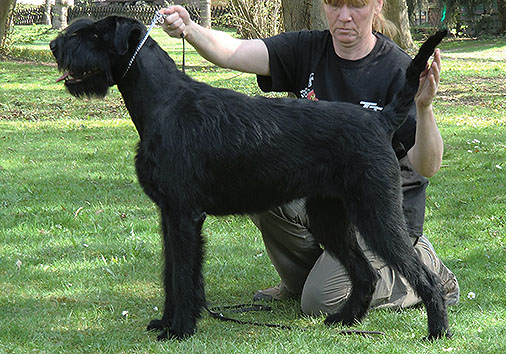 Tante Mechthild v. Nordexpress, 2 Jahre 1 Monat alt
