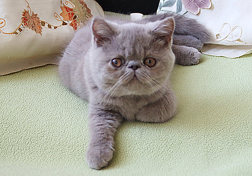 Thordis vom Nordexpress