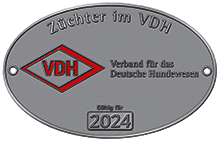 www.vdh.de