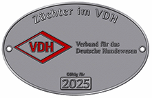 www.vdh.de